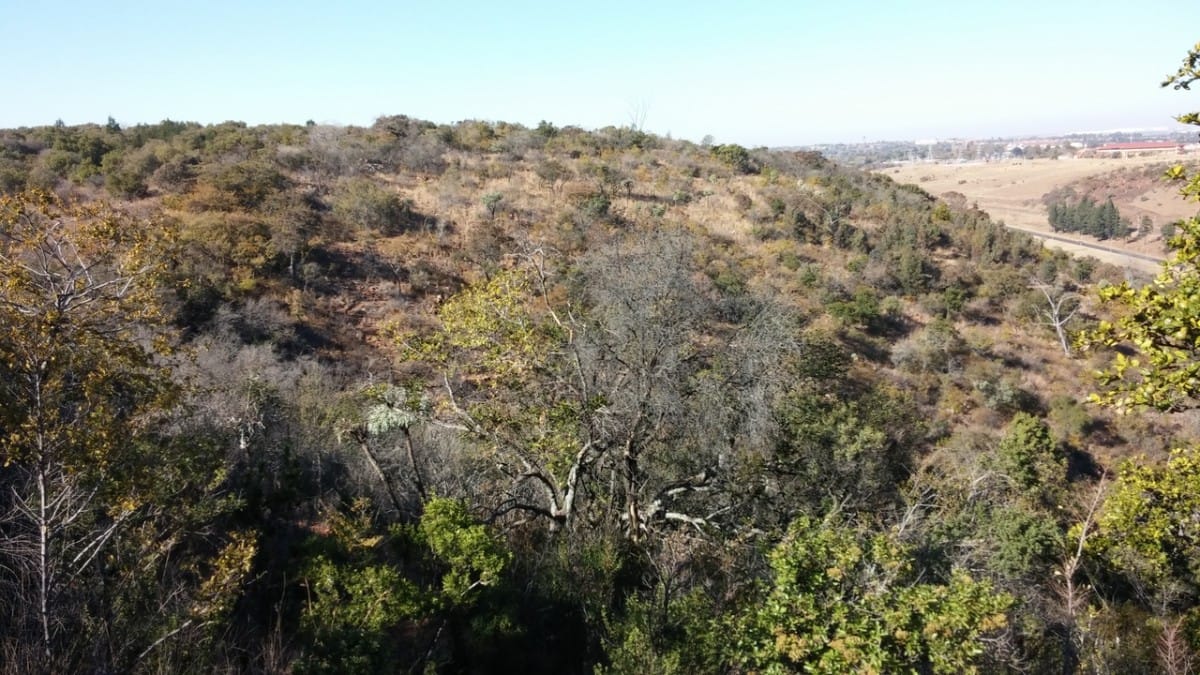 Groenkloof Sunday