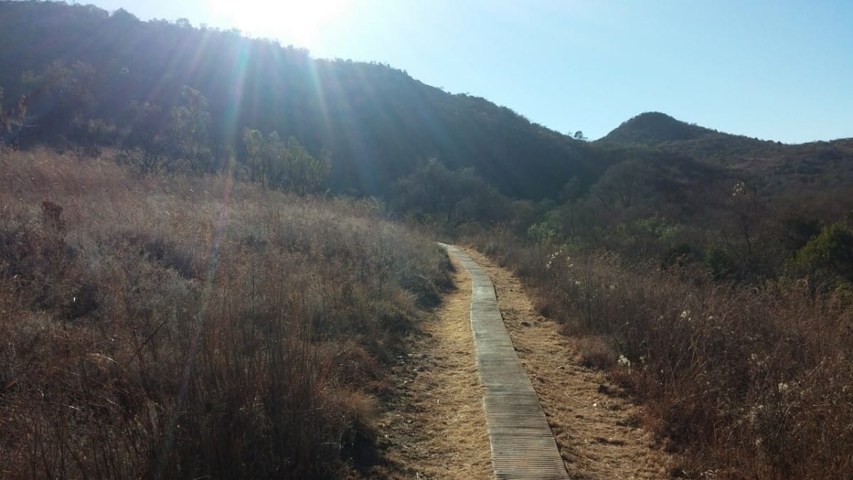 Faerie Glen