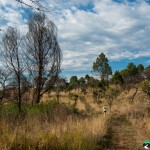 Hedianga-Pretoria-KyleRedelinghuys-12