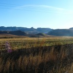 Morning_Run__Drakensberg_Alpine_Heath-15